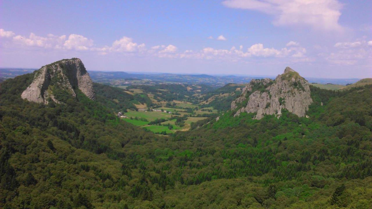 Tulipe, Appartement 5 Personnes, Entre Sancy Et Volcans D'Auvergne Orcival Exterior foto