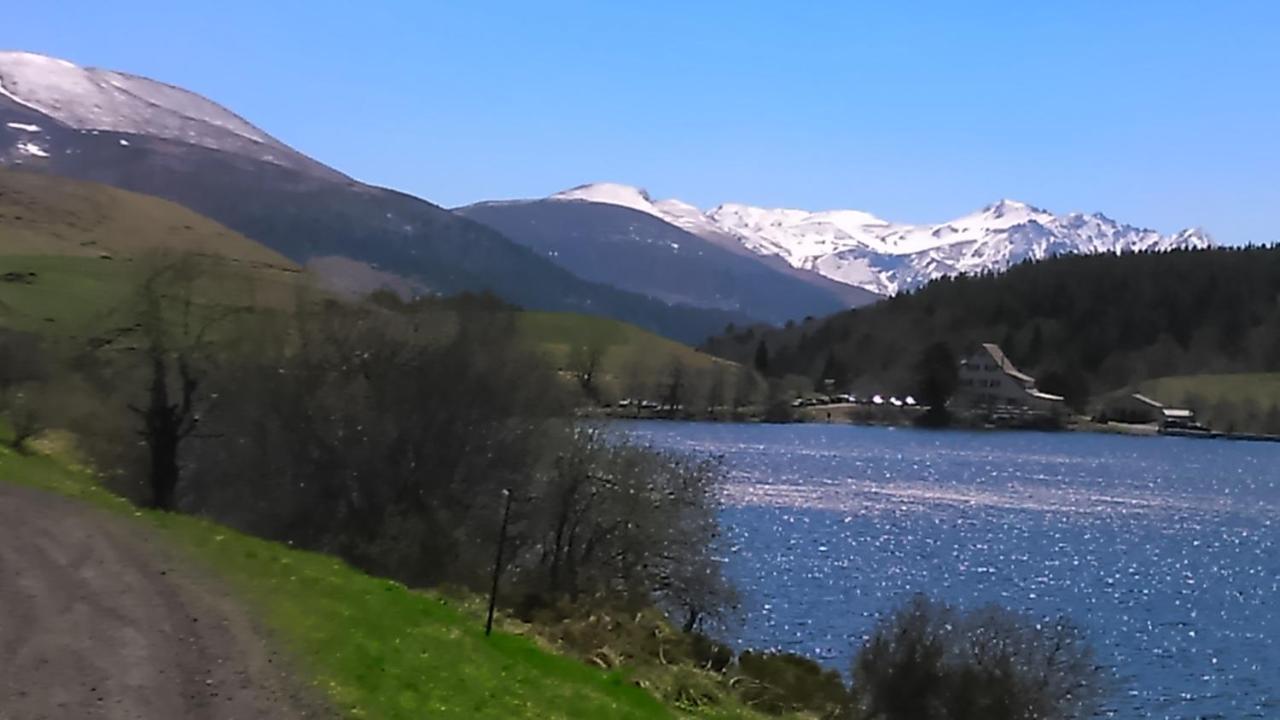 Tulipe, Appartement 5 Personnes, Entre Sancy Et Volcans D'Auvergne Orcival Exterior foto