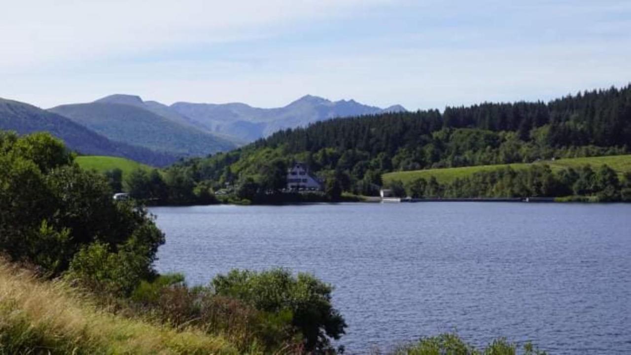 Tulipe, Appartement 5 Personnes, Entre Sancy Et Volcans D'Auvergne Orcival Exterior foto
